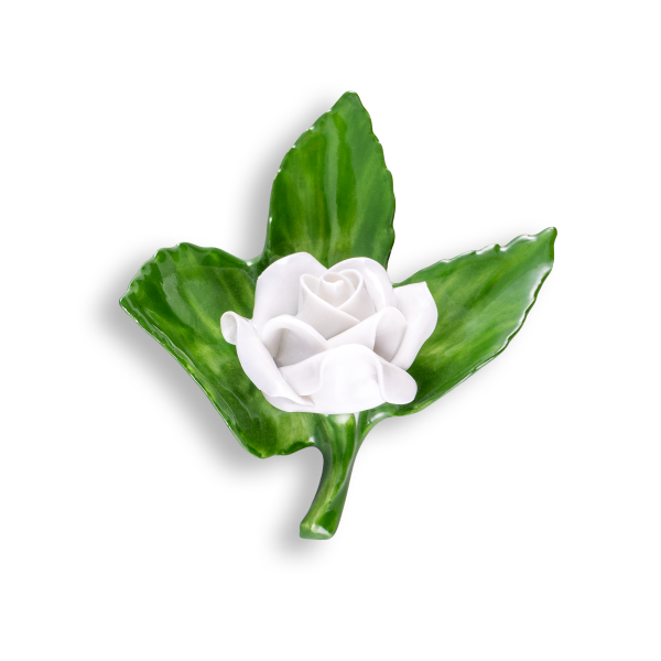 Tövisrózsa, zöld-fehér, 8,5 cm