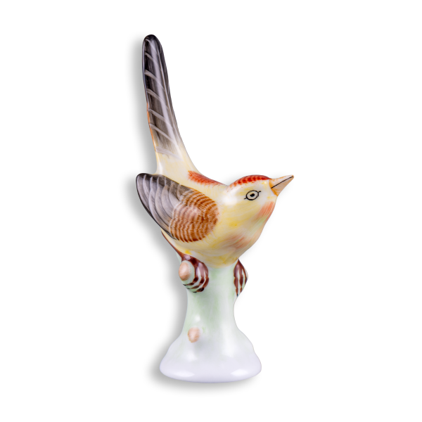 Bird, coloured